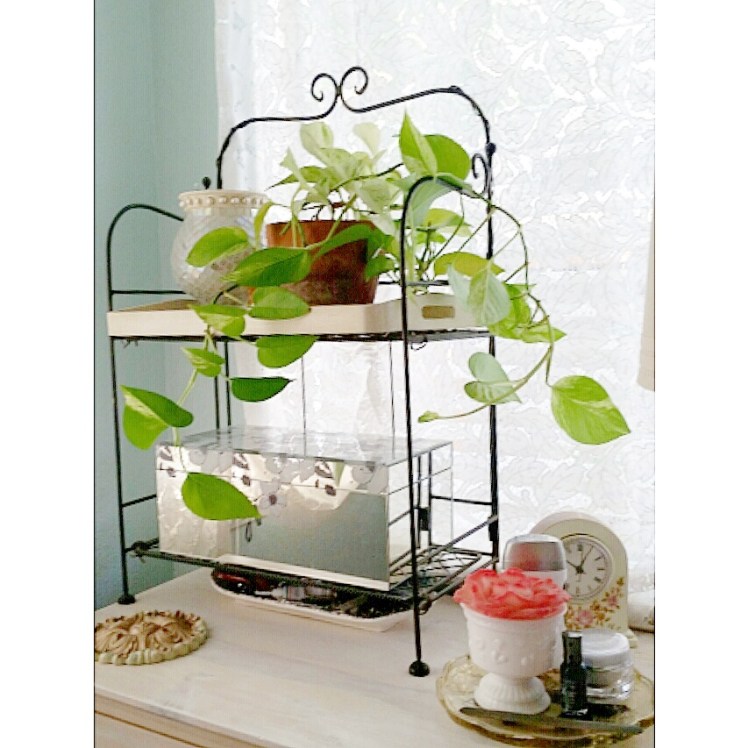 Some milkglass, a potted plant and pink.