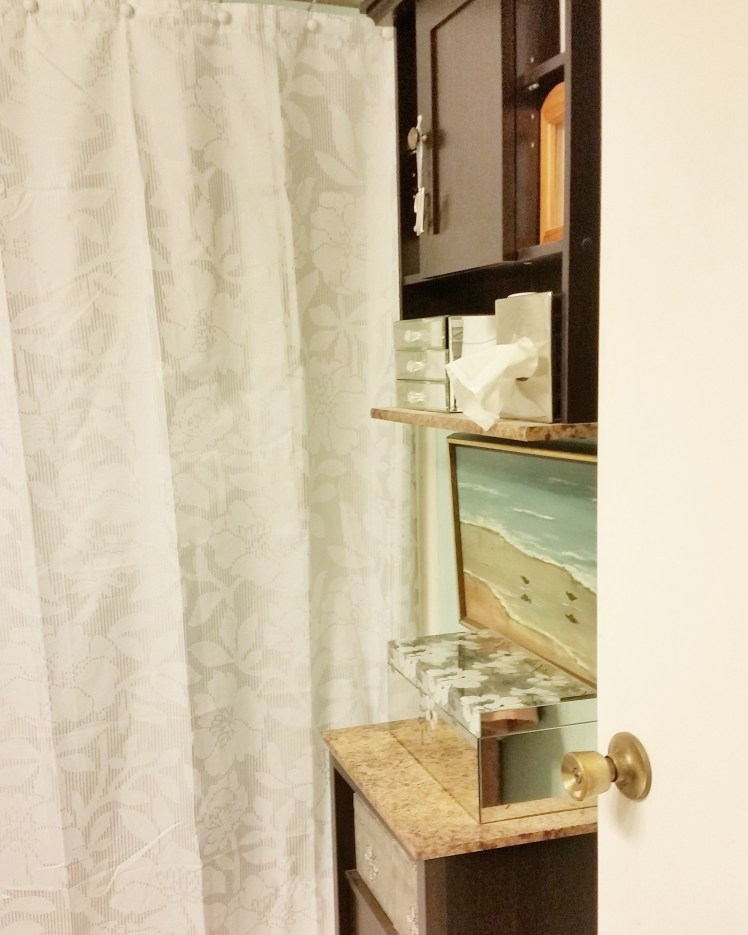 One Room Challenge Fall 2016 guest bat makeover "before" uninspired storage.